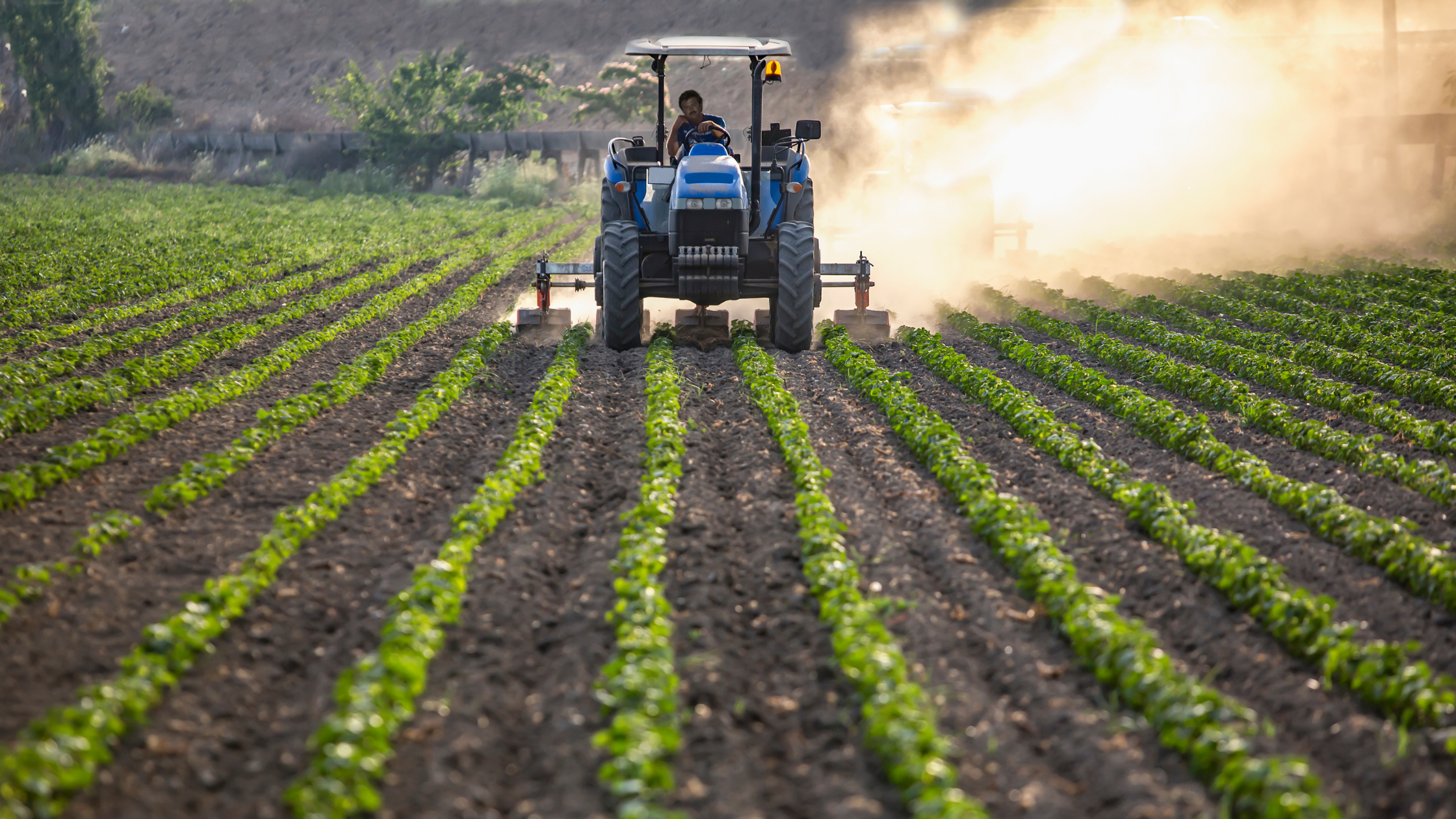 Agricultural Commodity Trading and Risk Management Trends in 2026