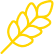 seed-icon-yellow