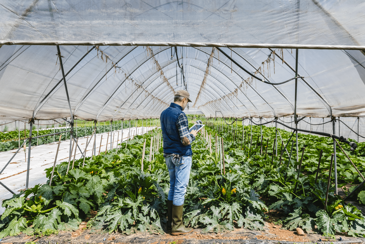 Blog-Bannerimages_Technological-innovation-in-food-and-agriculture