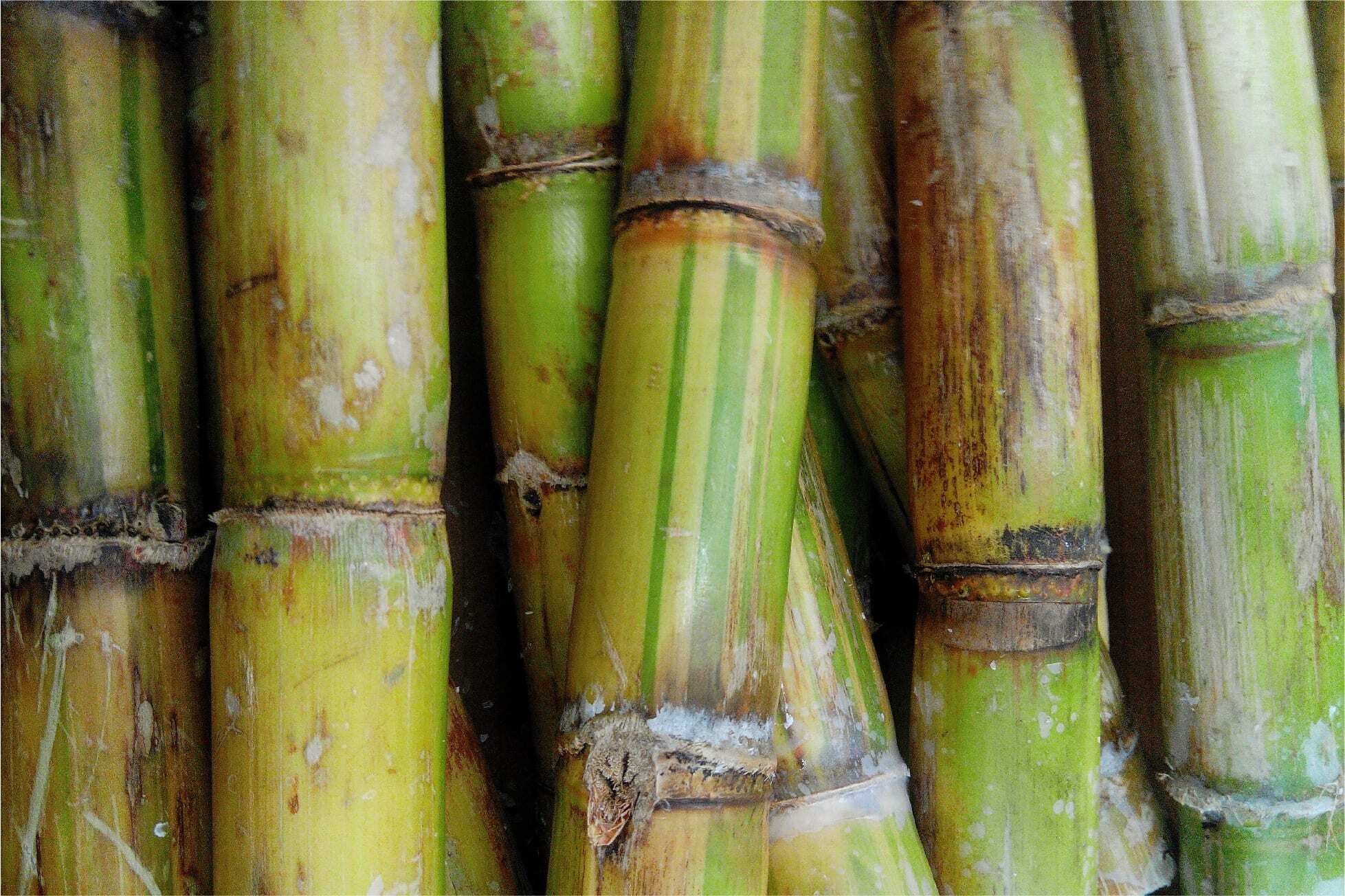 MediaCoverage_Asias-sugar-heavyweight-Mitr-Phol-utilizes-cloud-native-platform-for-supply-chain-efficiencies