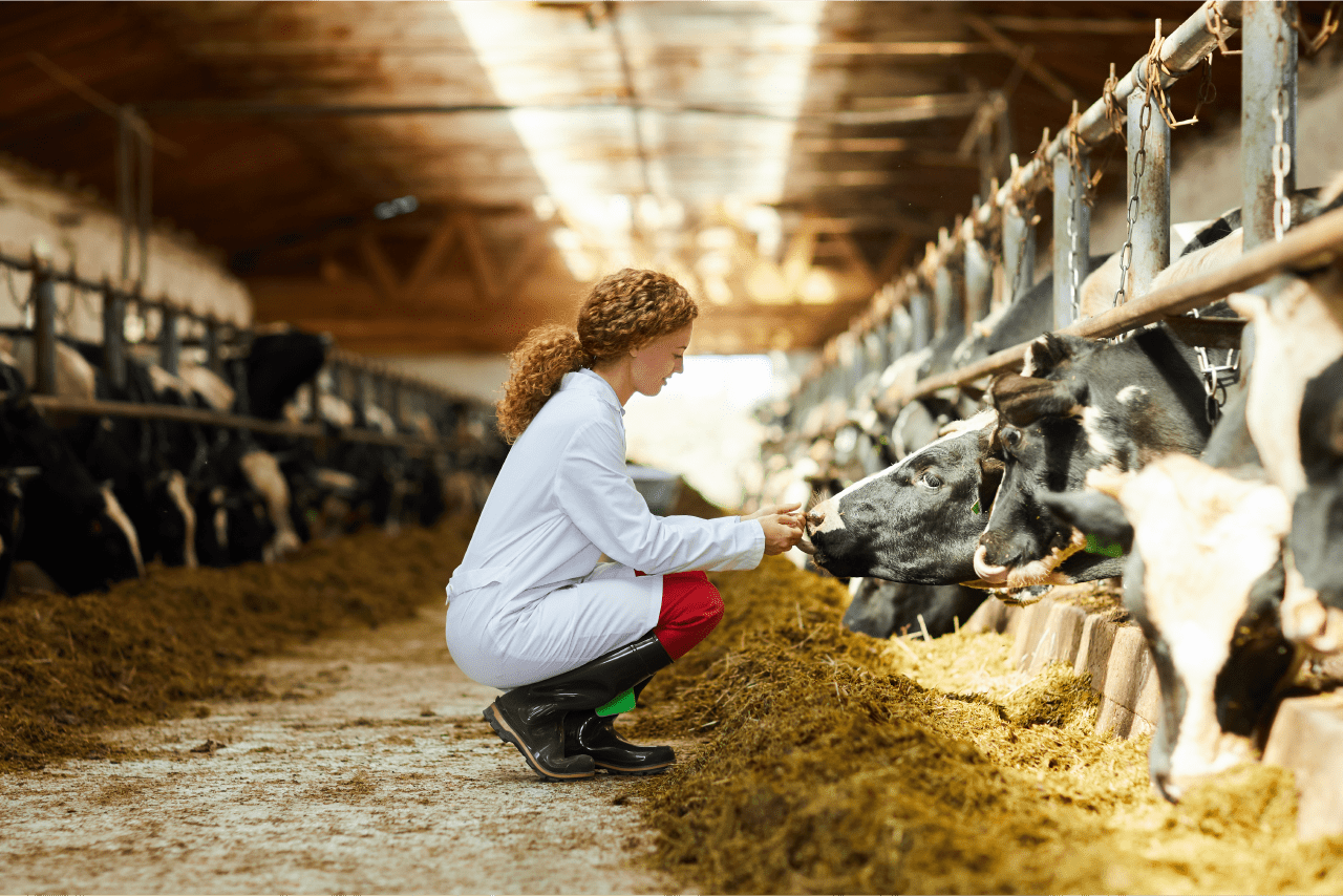 Thumbnail_Case-study-Agri_US-Diary-Company-1