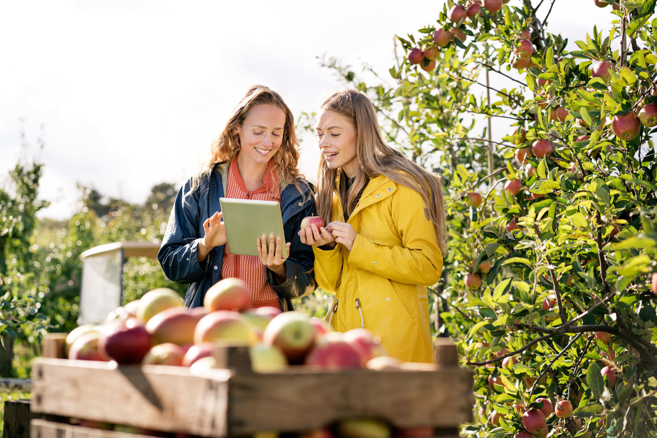 Send Food Trading Conquer Food Trading Digital Challenges | QuorEka
