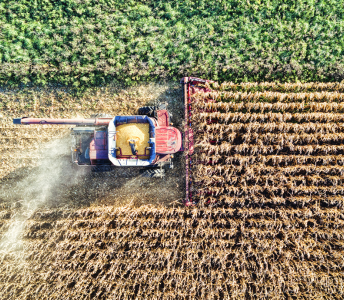 South African Agri Case Study